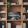 Tableau photo du Parc des Princes en Noir et Blanc au format 20 x 30 cm installé dans une bibliothèque en bois