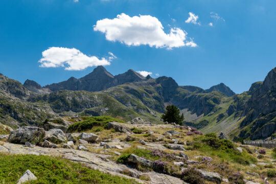 Nouvelle Aquitaine - Vallée d'Ossau