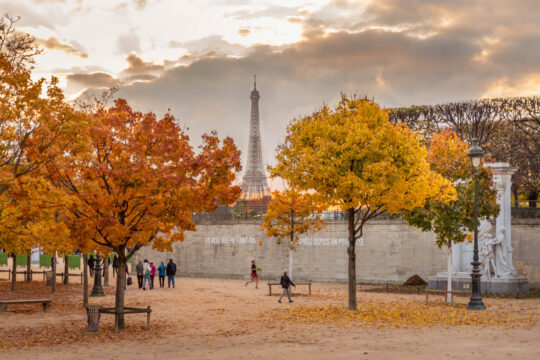 Paris - Automne au Jardin des Tuileries et Tour Eiffel