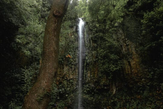 Portugal - Madère - Cascade Aguage