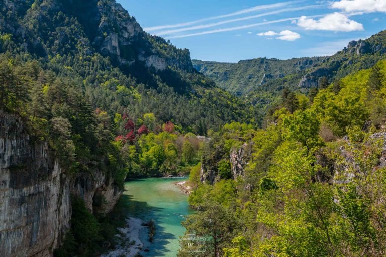 Vue sur les détroits du Tarn, avec la rivière turquoise bordée de falaises calcaires et d’une végétation dense parsemée d’arbres aux feuillages rouges.