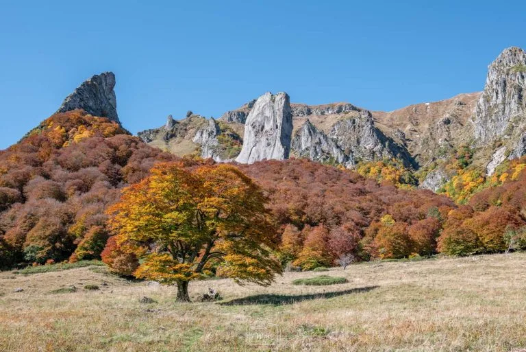 Aiguilles rocheuses de la Dent de la Rancune et de la Crête du Coq dominant une forêt d'automne dans la Vallée de Chaudefour.
