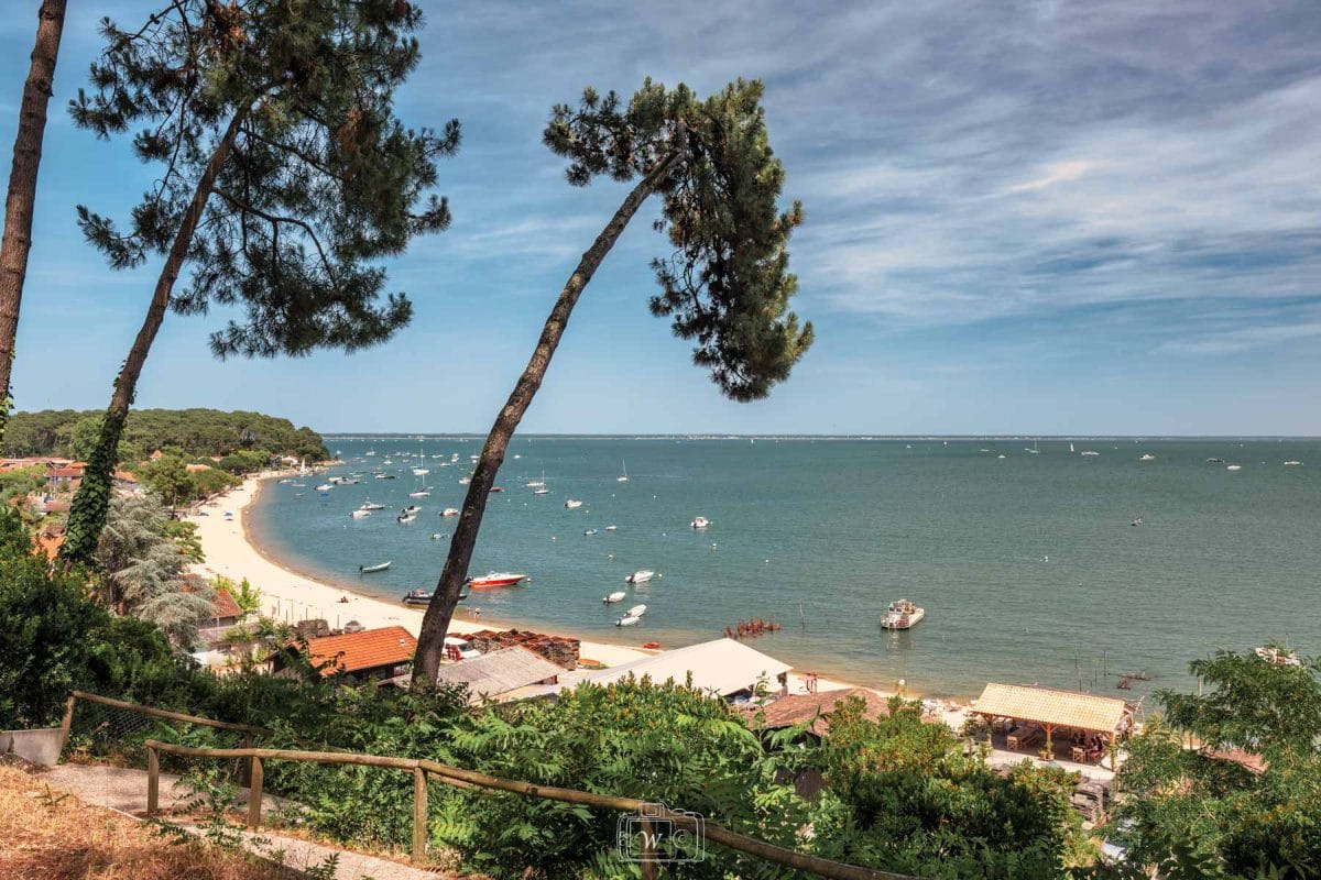 Vue plongeante depuis la pointe aux Chevaux encadrée par un pin maritime courbé sur la plage de sable clair en arc de cercle et les bateaux amarrés sur le bassin d'Arcachon.